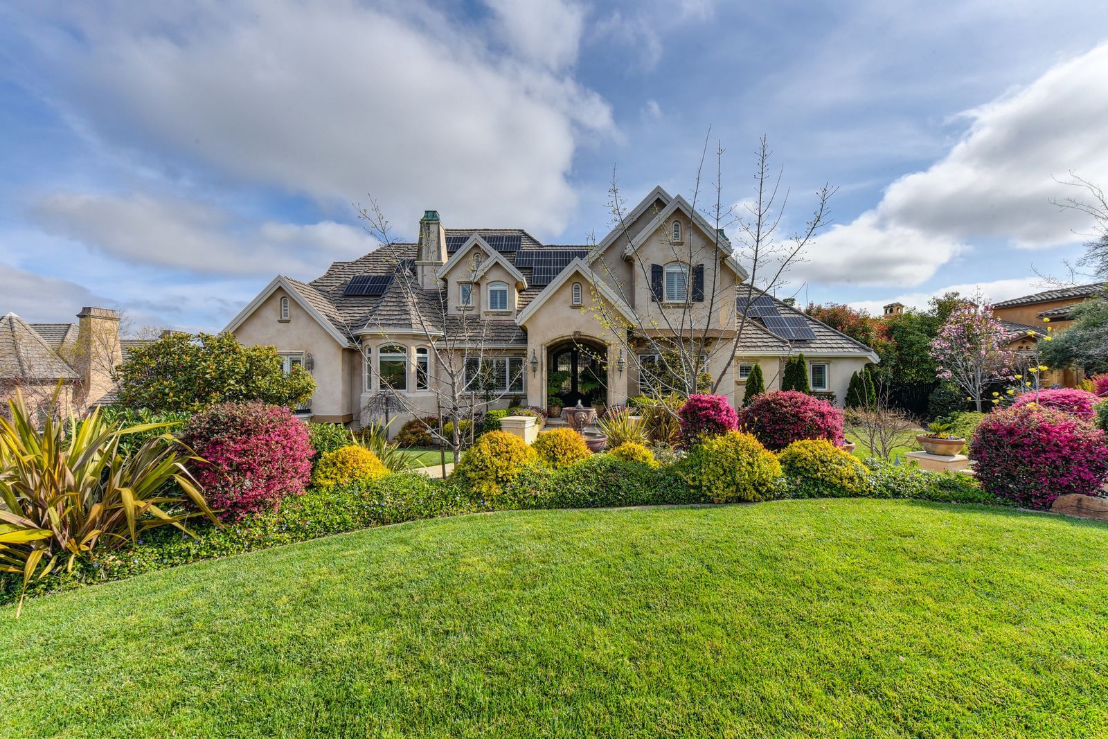 Suburban home framed by a lush landscaped garden