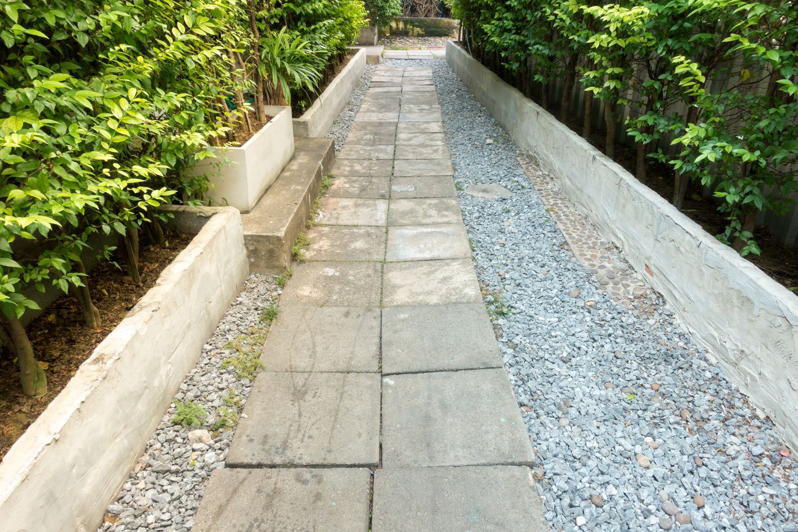 Pebbled garden path bordered by full green plantings