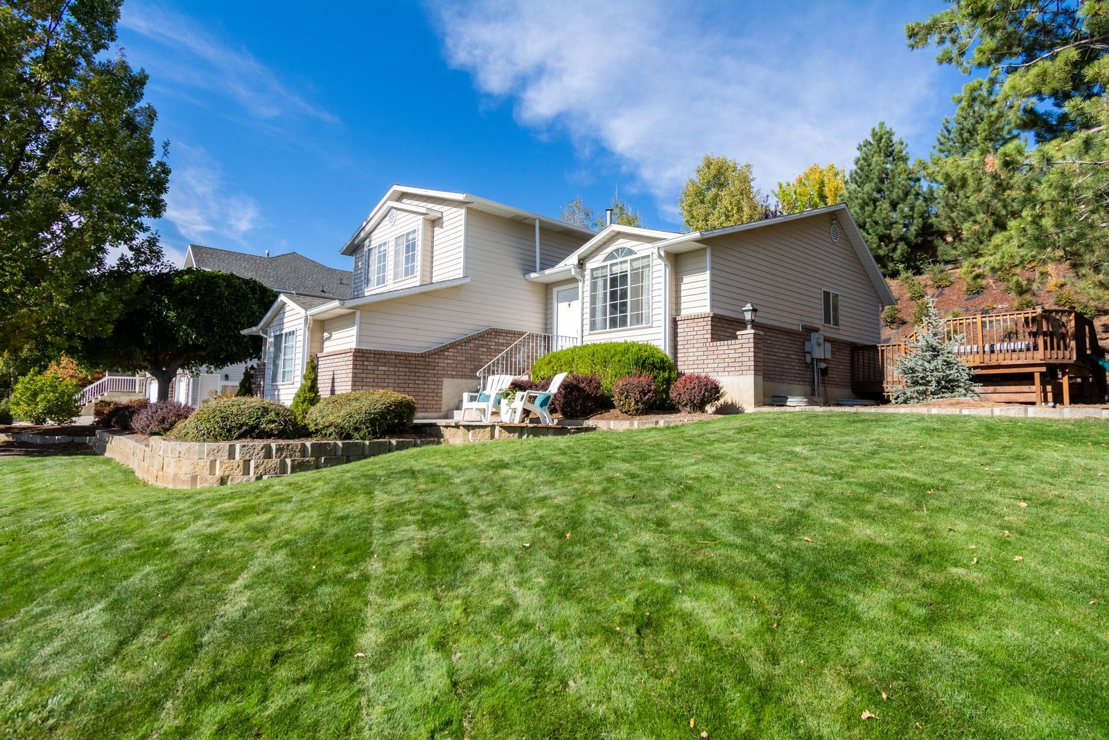Suburban house with a freshly cut lawn framed by trees